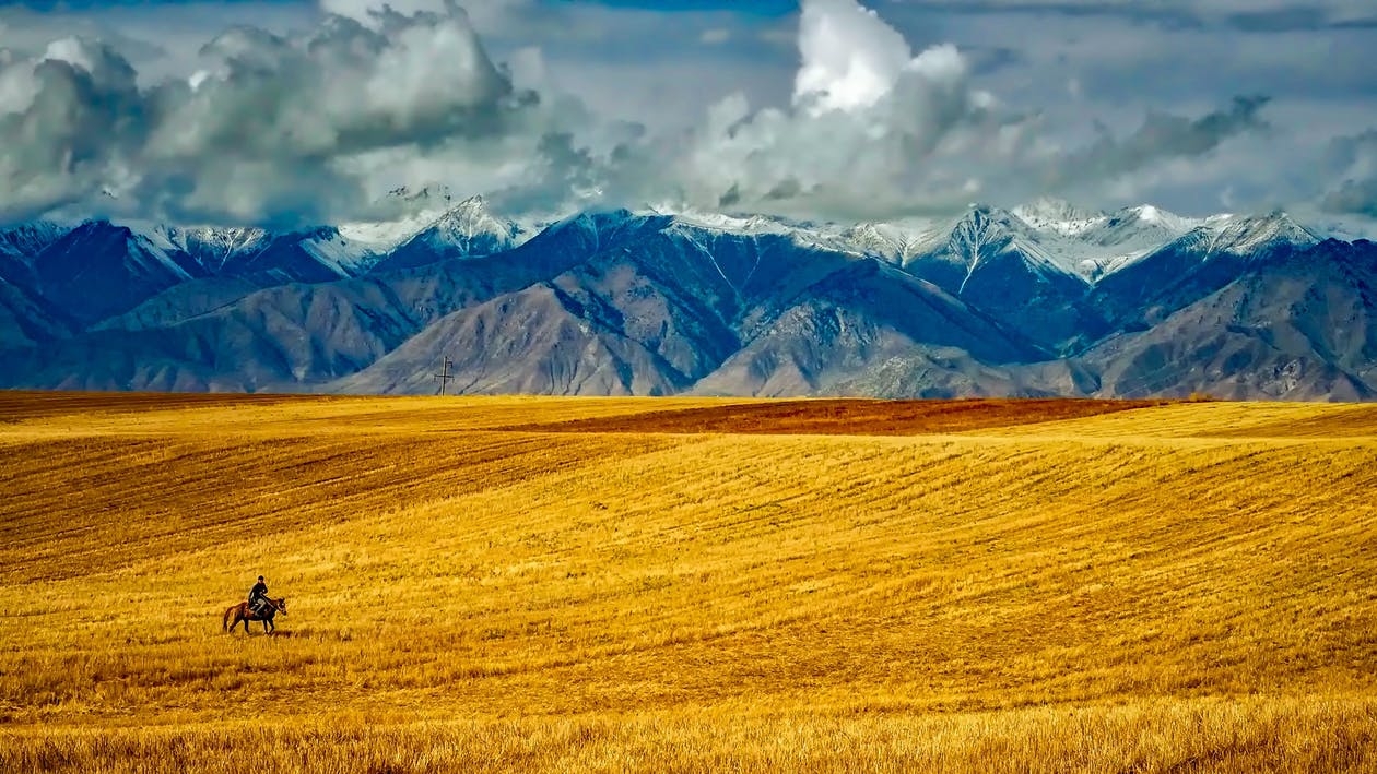 https://www.pexels.com/photo/scenic-view-of-agricultural-field-against-sky-247462/