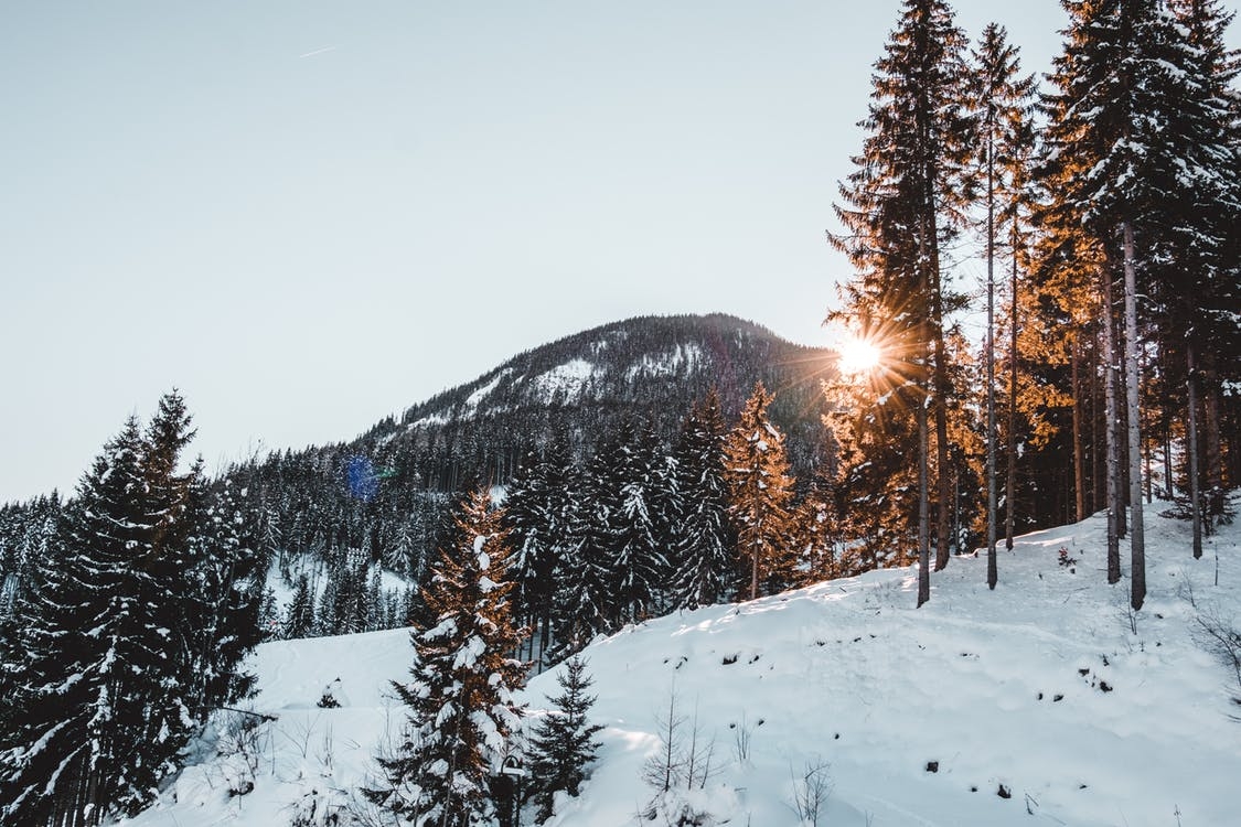 https://www.pexels.com/photo/snow-covered-trees-against-sky-311065/