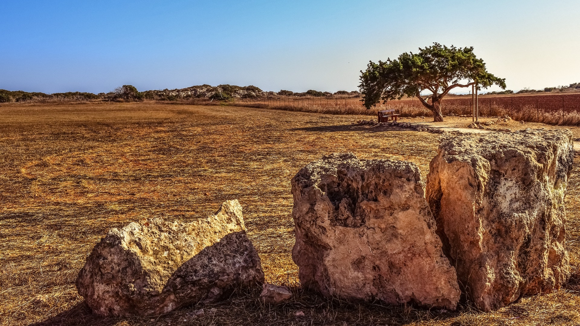sziklák-fa-fekvő-természet-táj