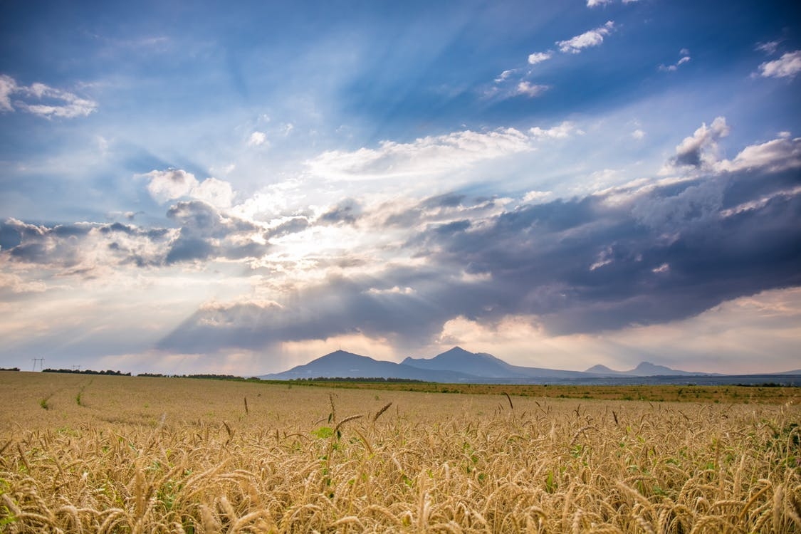 https://www.pexels.com/photo/ride-field-under-blue-sky-during-daytime-163882/