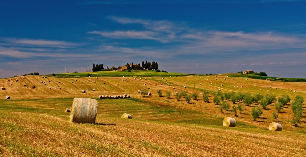 agriculture-bale-countryside-crop
