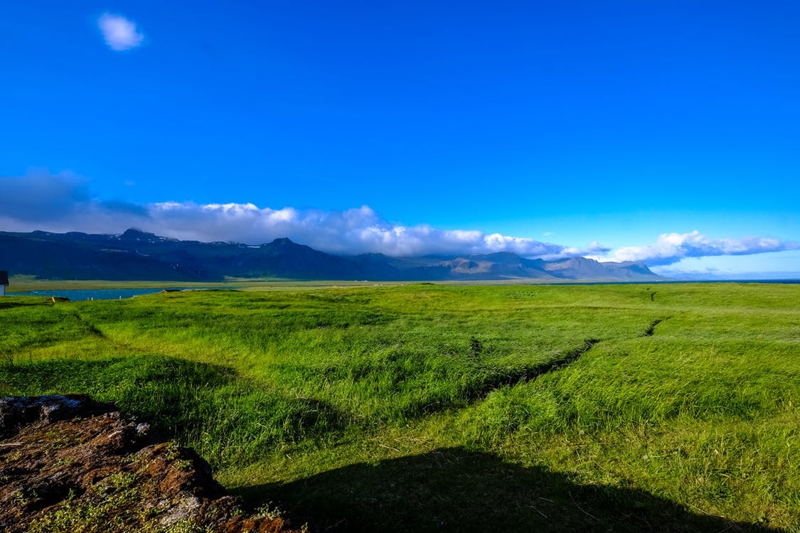 https://www.pexels.com/photo/agriculture-blue-sky-clouds-countryside-449012/