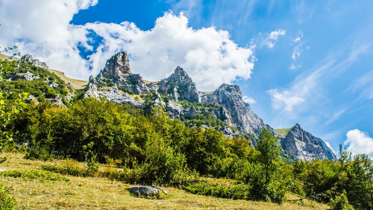 cloud-clouds-daylight-forest