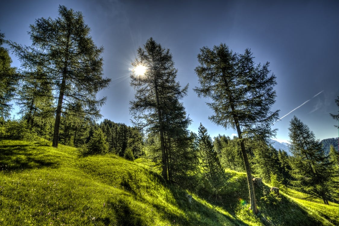 clouds-country-daylight-environment