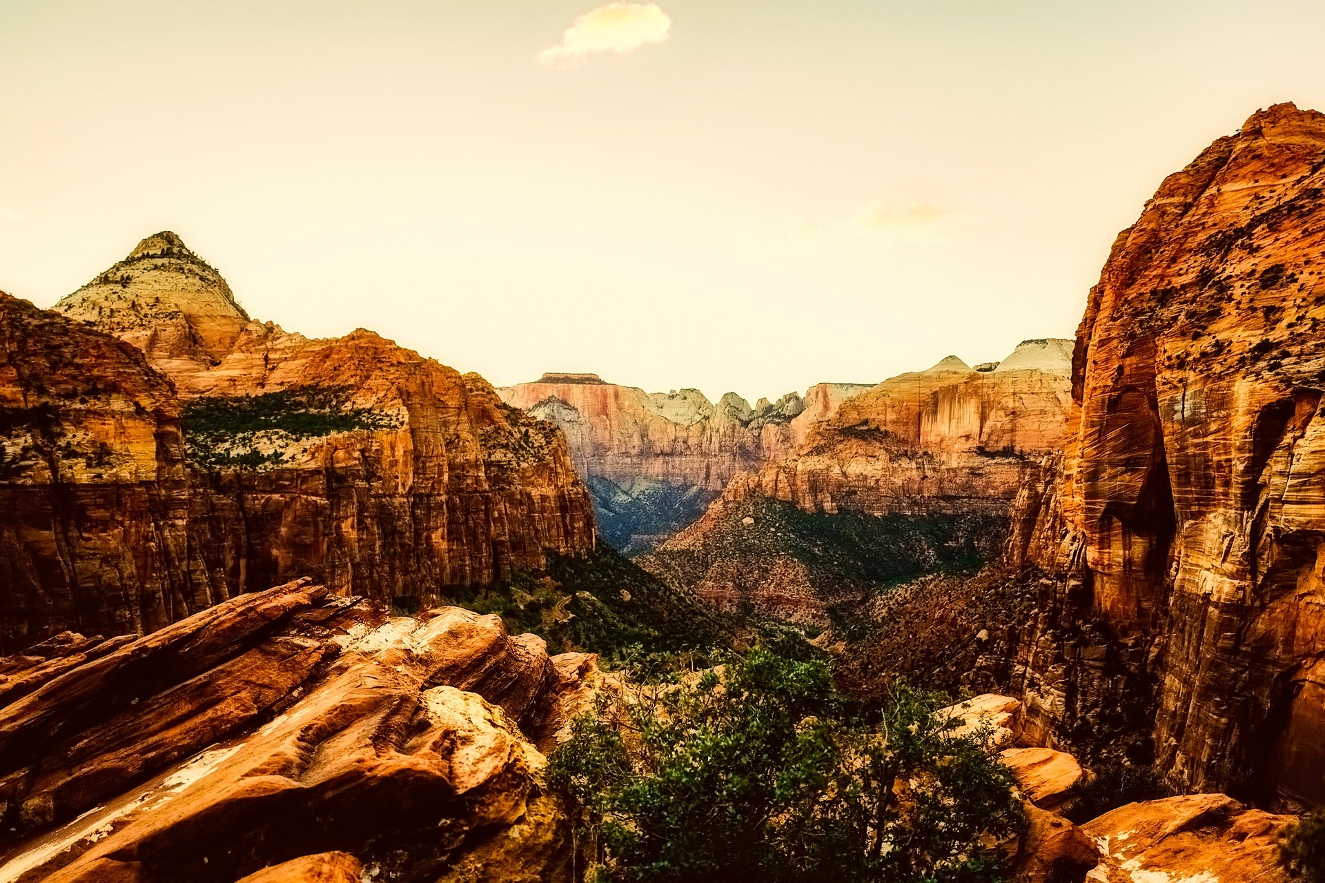 zion-national-park-utah-landscape
