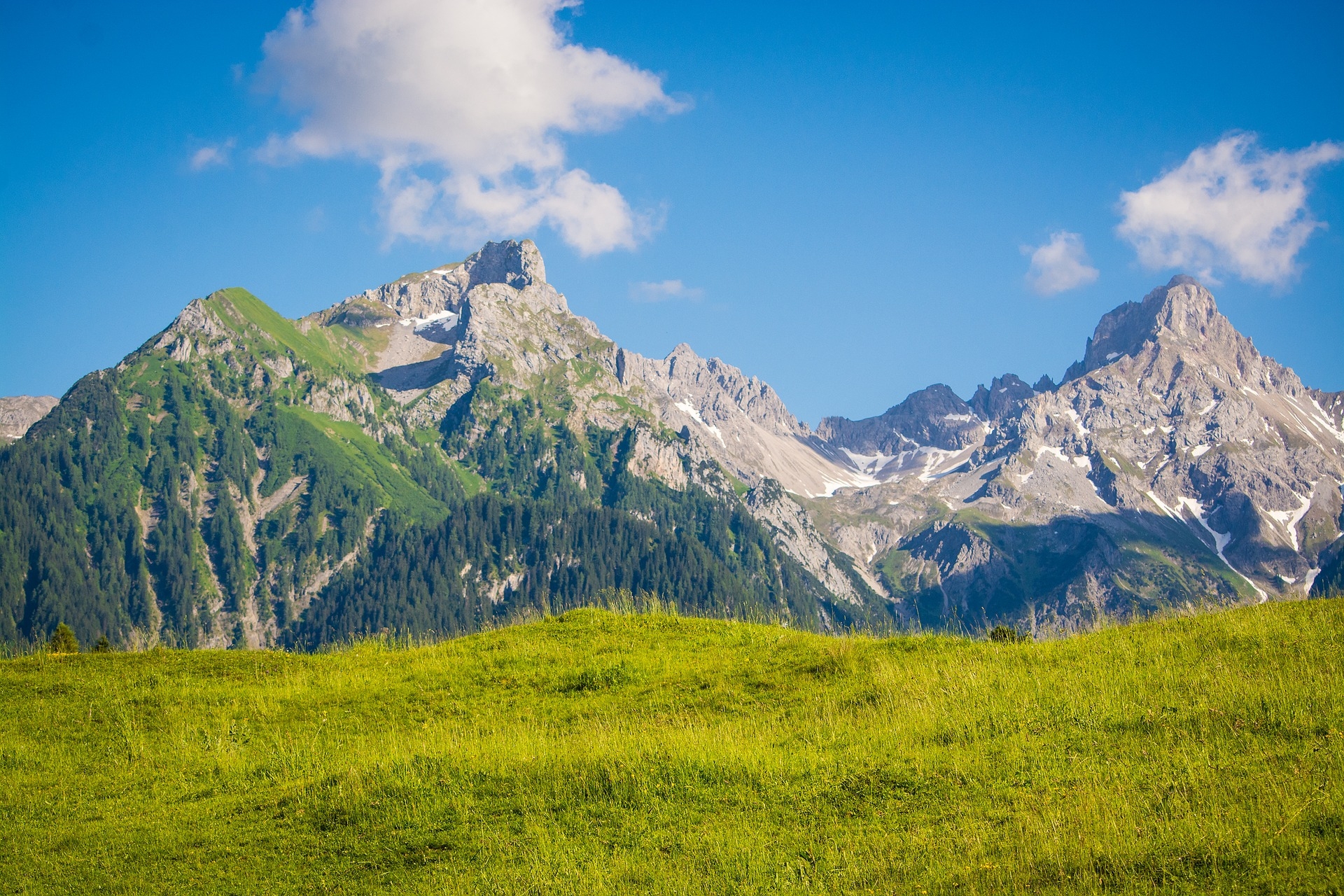 landscape-nature-outlook-meadow
