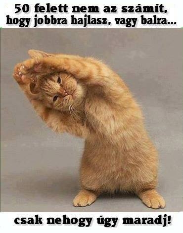 50 felett