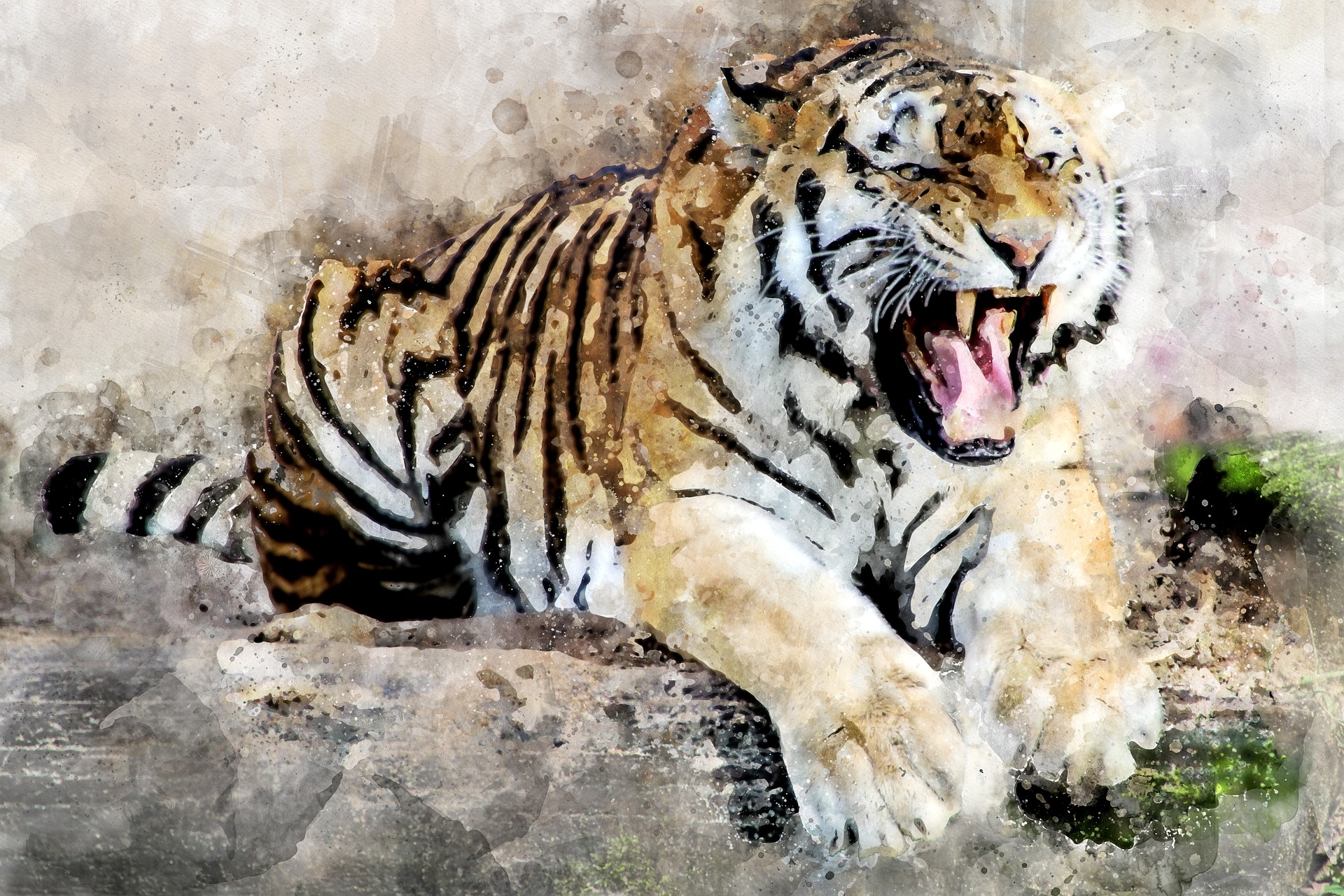 https://pixabay.com/hu/tigris-predator-%C3%A1llati-tooth-roar-2864785/